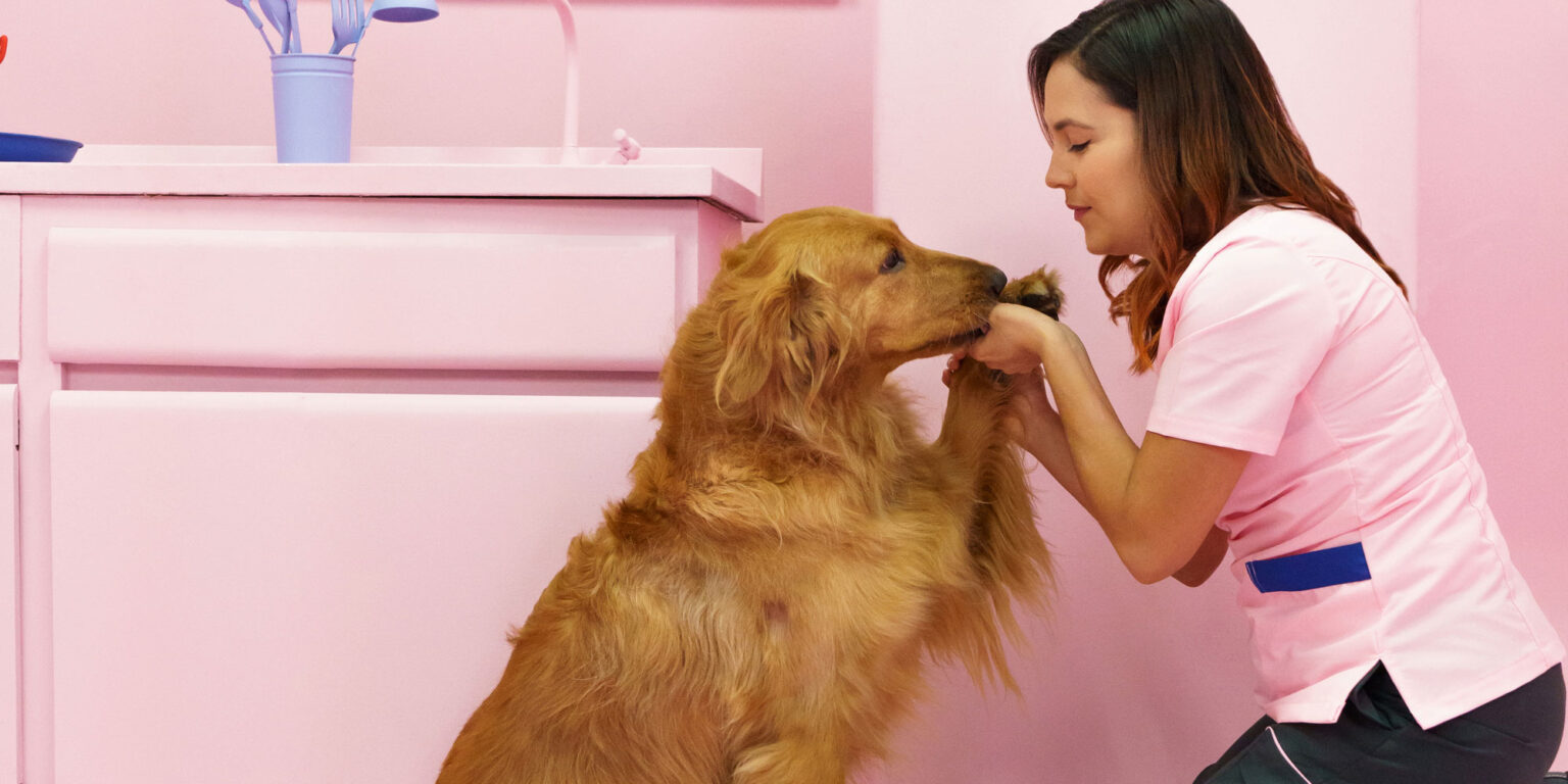 Ladridos de felicidad