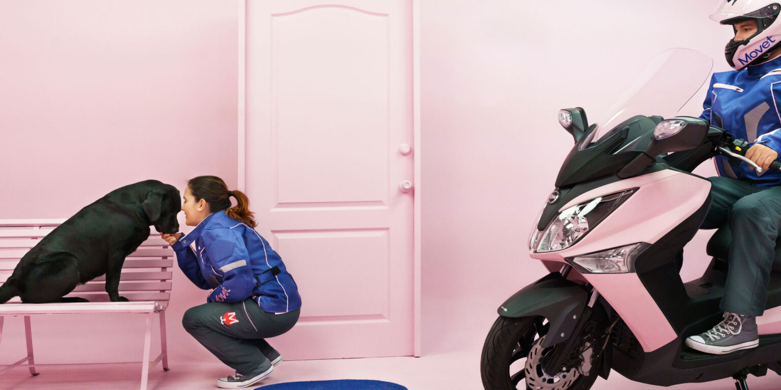 Clínica veterinara 24 hos.