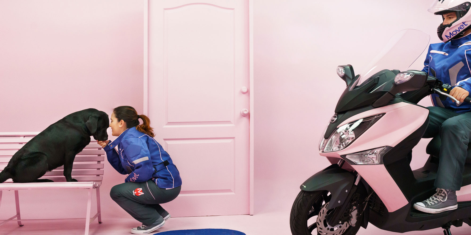 Clínica veterinara 24 hos.